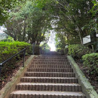 光の道が🛣️見えてきた！