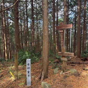 音羽富士
ここで、みんなの声が聞こえてきた〜ホッ💗