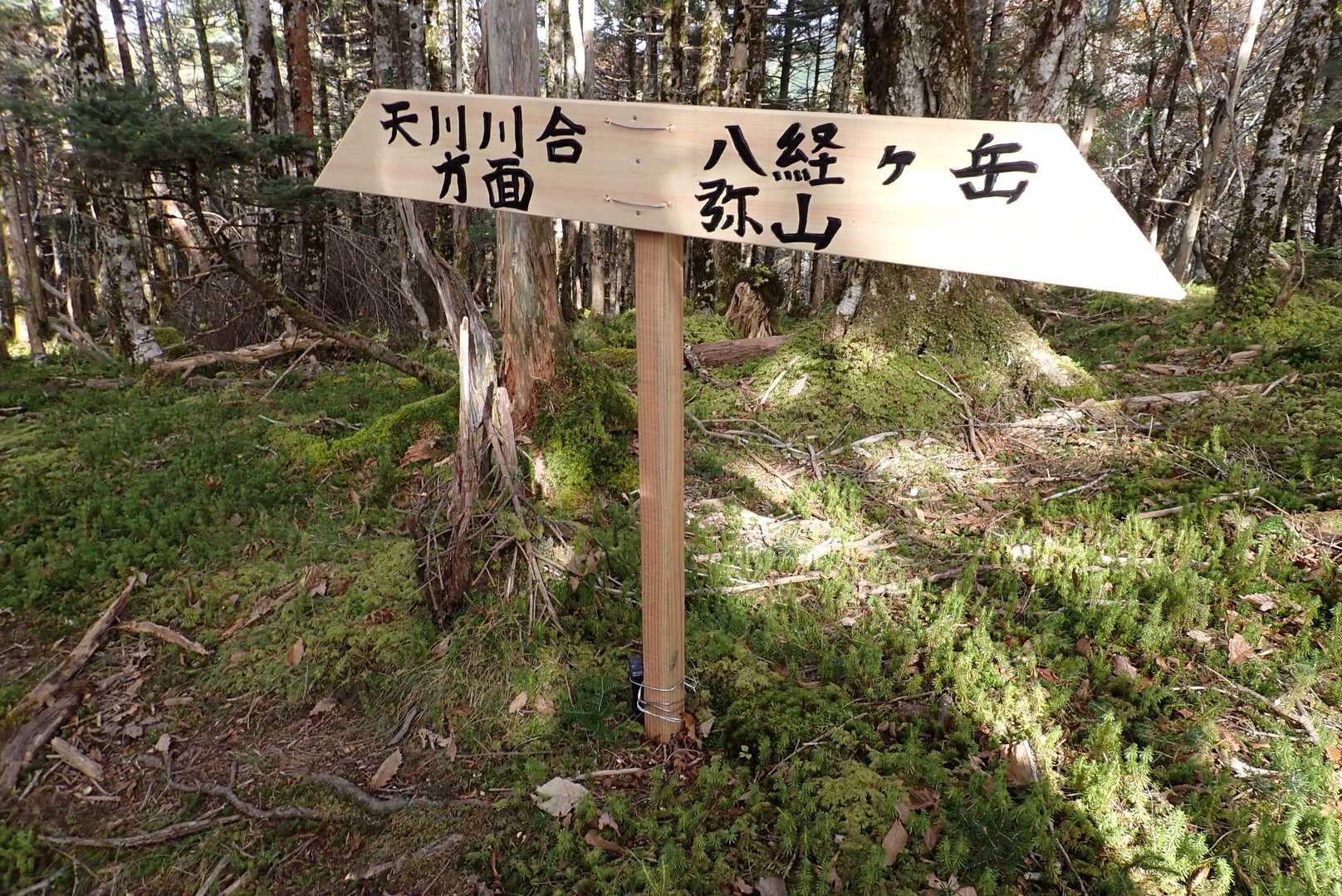 新しい看板