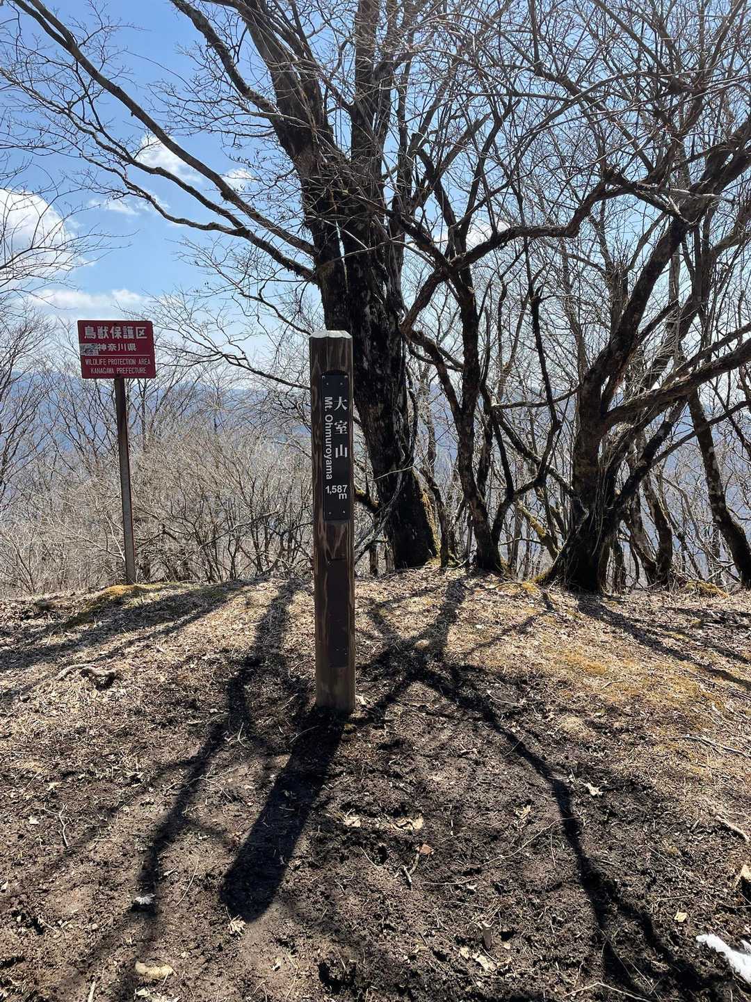 山頂は雪なし
富士山みえません