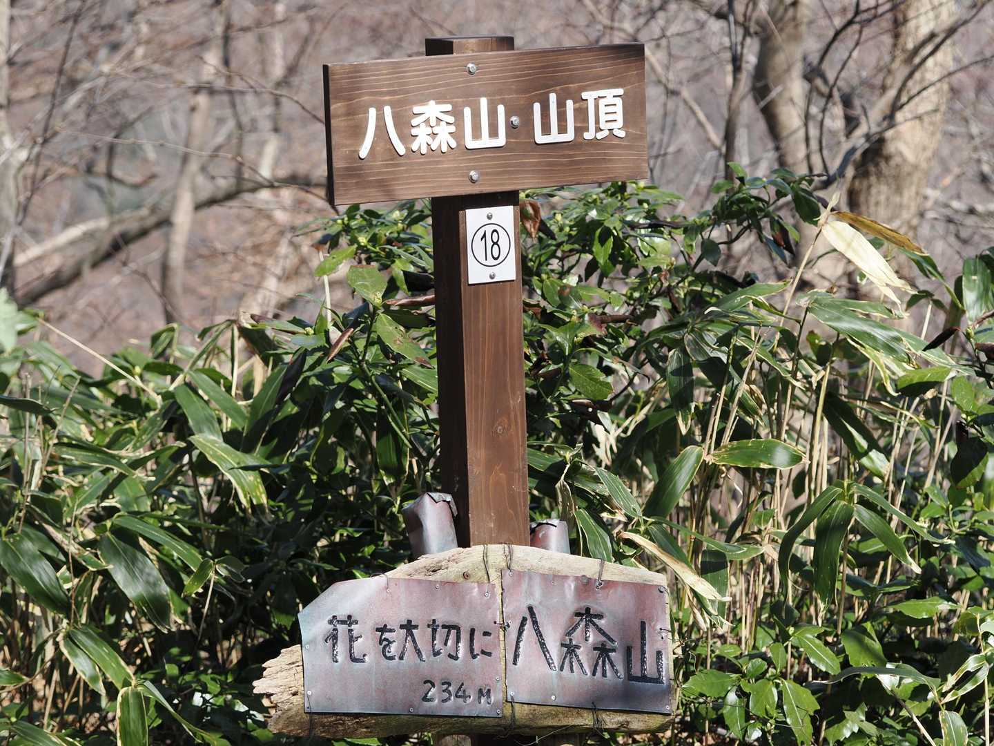 八ちゃん到着。