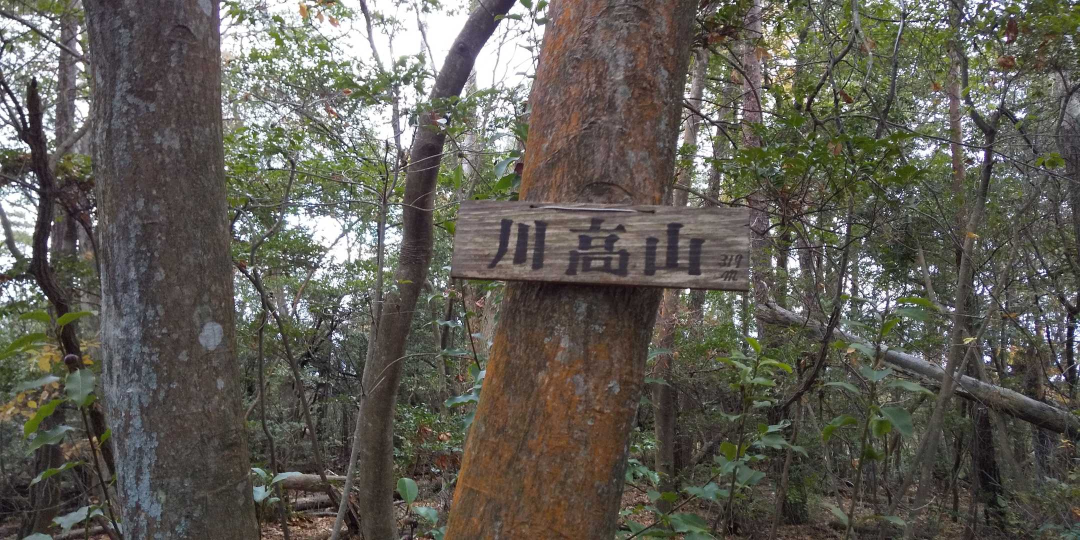 そして本日最後の川高山を通過