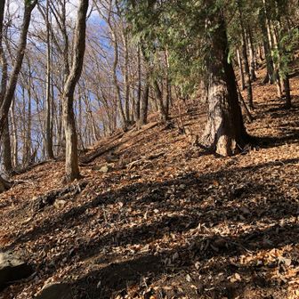 滑るすべるスベル