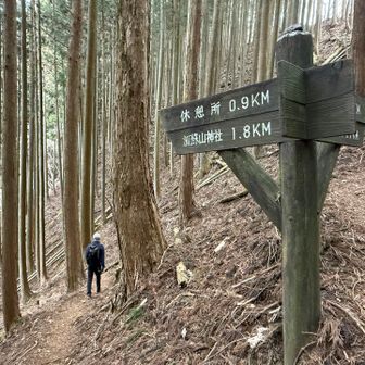 この辺りは歩きやすい！