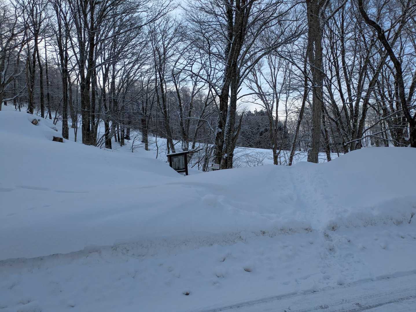 登山口
駐車場…というか広めの路肩
5台くらいしか止められません