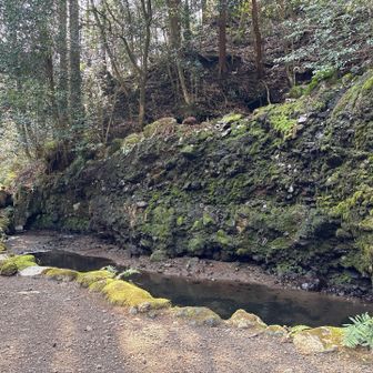 ちすじの滝らしい。
見るも無惨🥲
