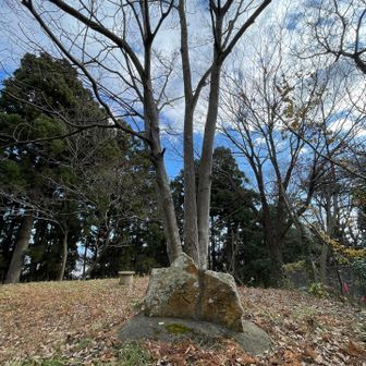 一番奥の電波塔の裏に石碑
