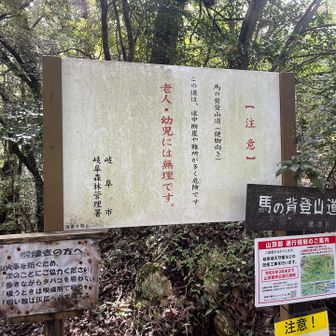 無事に下山〜🙌　晴れてきたからか、すれ違う登山者もまあまあ多い😊