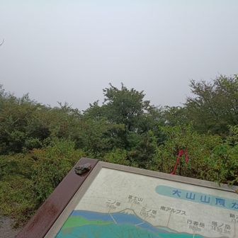 見えません