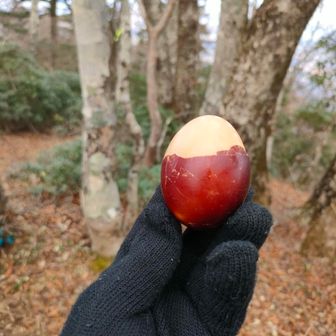燻製たまごが美味しかった🥰