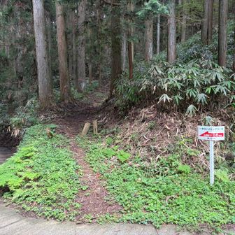 ここから土の道