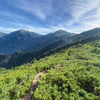 振り返って。
右から、茶臼岳、上河内岳、聖岳、兎岳。4兄弟のよう。すばらしい景観