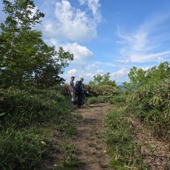 大判山まで戻ってきました！