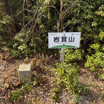 岩茸山に来ました