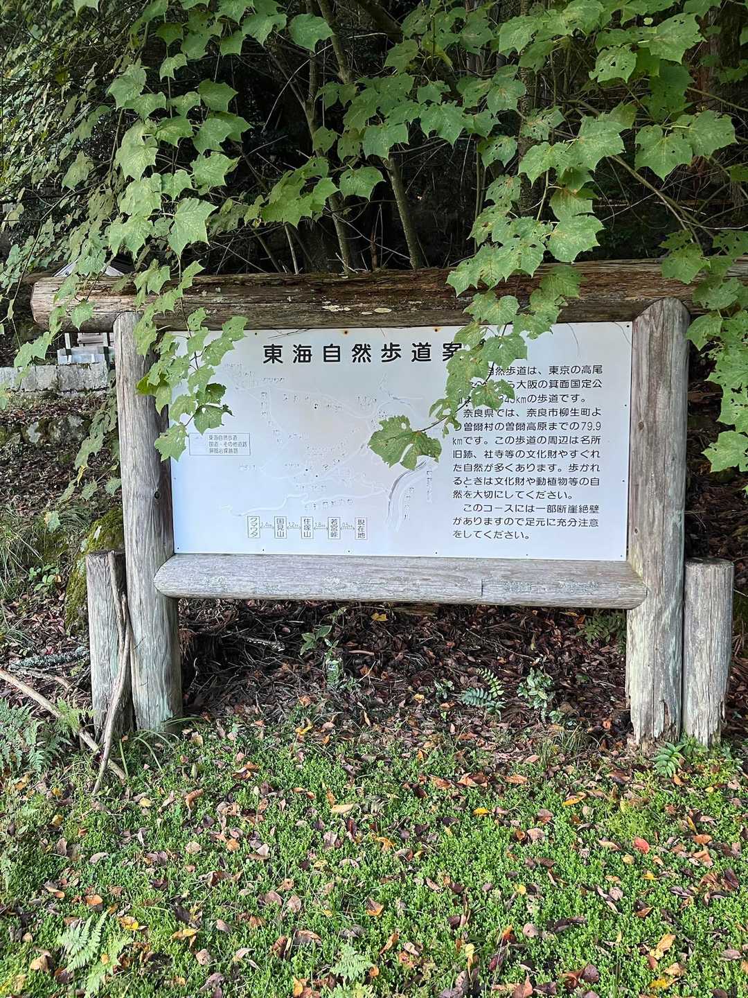 屏風岩公苑登山口-住塚山 往復コースの写真