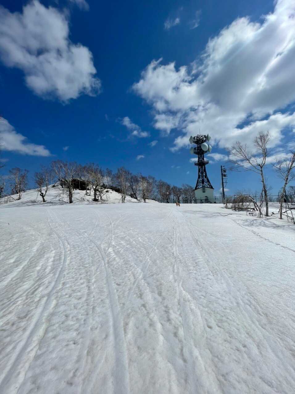 神居山（北海道旭川市）の写真