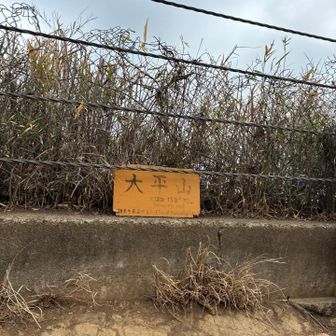 大平山登頂〜⭐️   鎌倉市最高峰⛰️⤴️