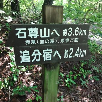 林道を横切り
駐車スペースがあり
タンクローリーも通れたから
次はここから登るのがいいかな