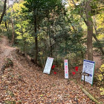 ガーン😨最短ルート行けない😣
