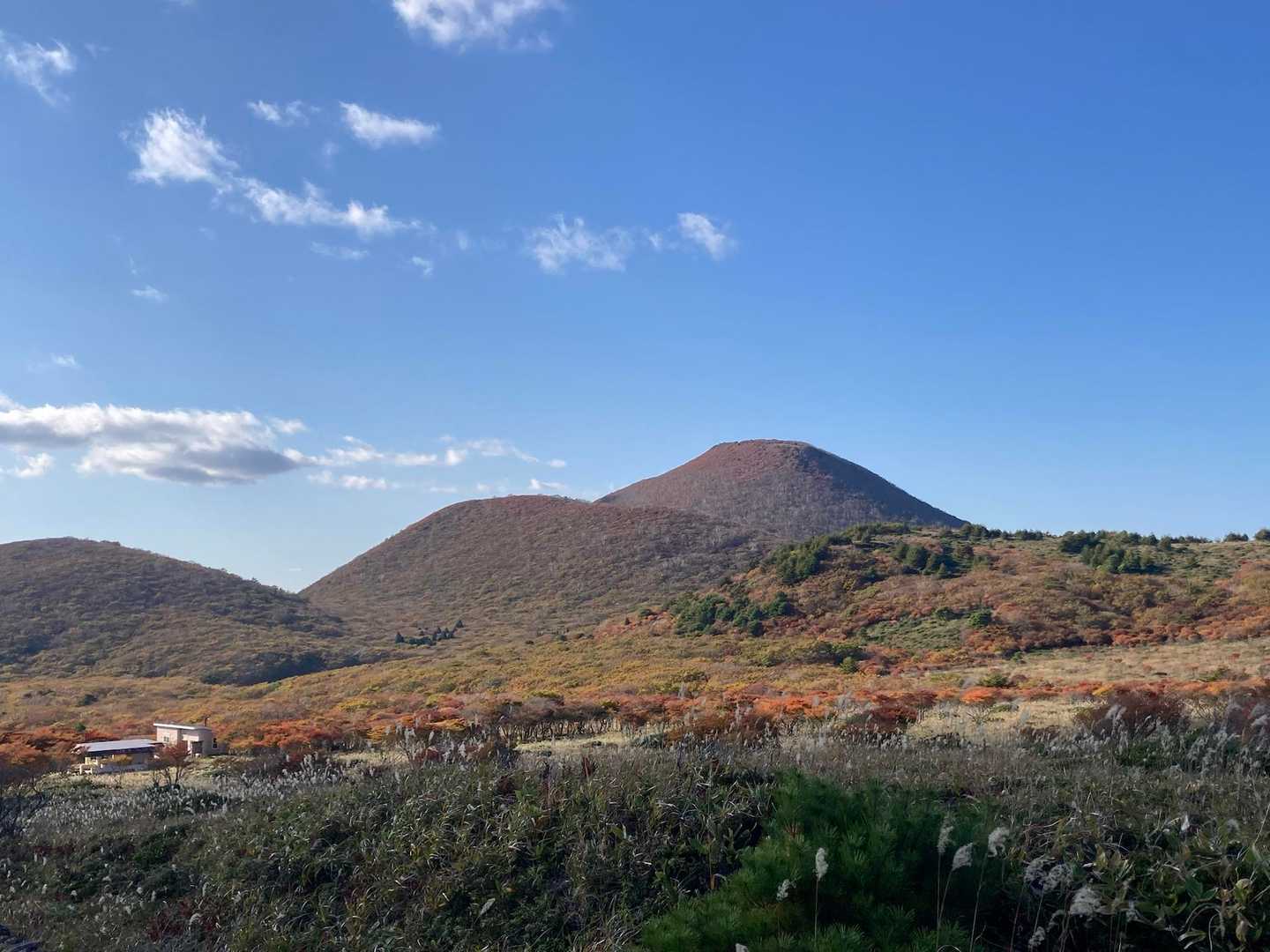 わぁ〜✨
先ほど歩いた海向山⛰️