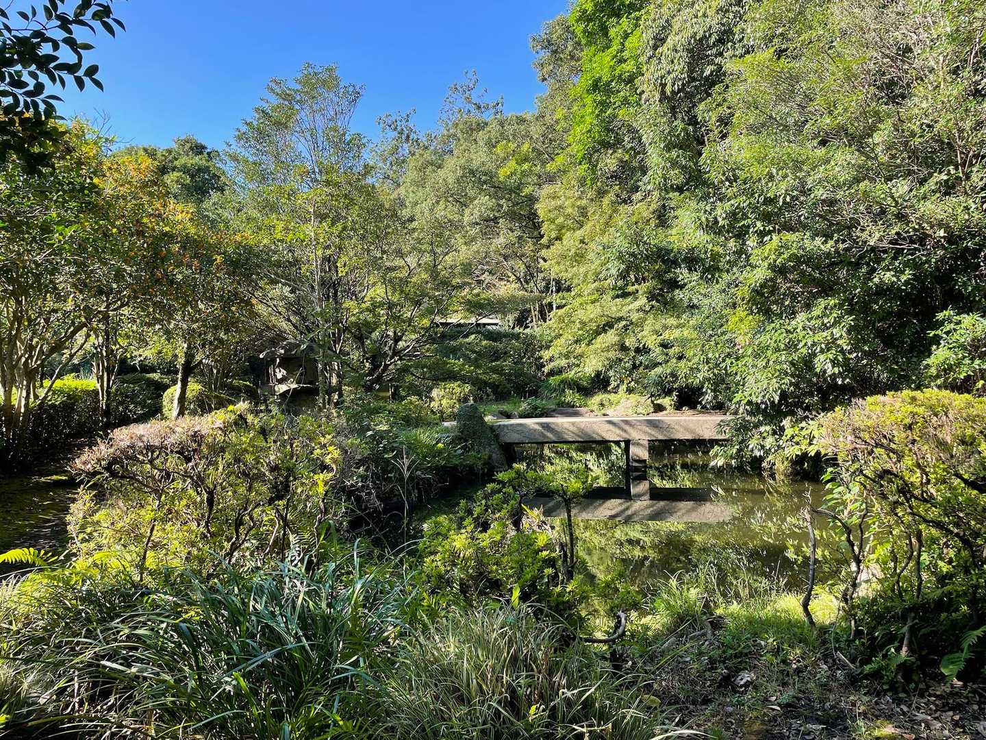 黎明館裏の日本庭園。灯籠、飛石、池、植栽も素晴らしくなかなかの風情です。紅葉が色付いたら素敵なお庭が見れそうです。