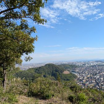 🦟がいなければ休憩できるんだけど