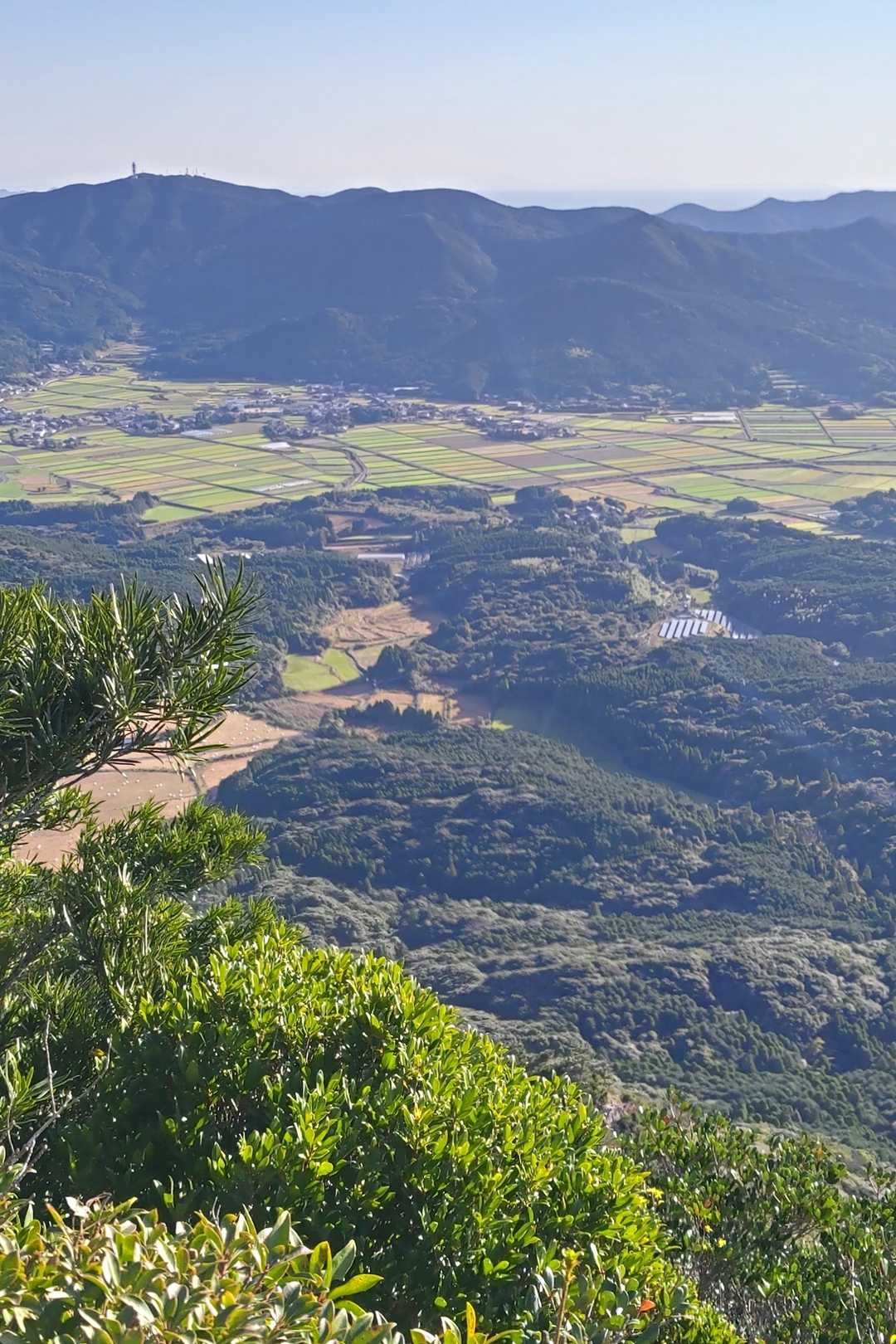 岐宿の穀倉地帯