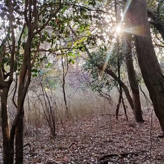 小山の割に、山頂は広かった