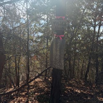 甲州高尾山　東峰