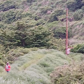 どういう日割り