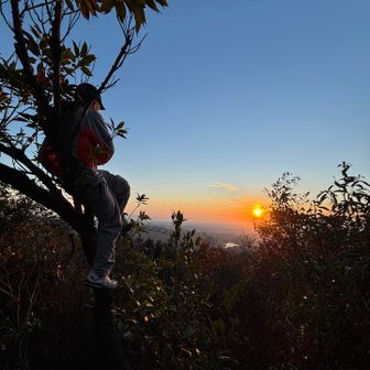 木の上からの景色in 朝日山