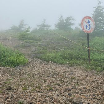 追い越し追い抜き禁止ですと