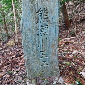 昨日も来ましたが😅