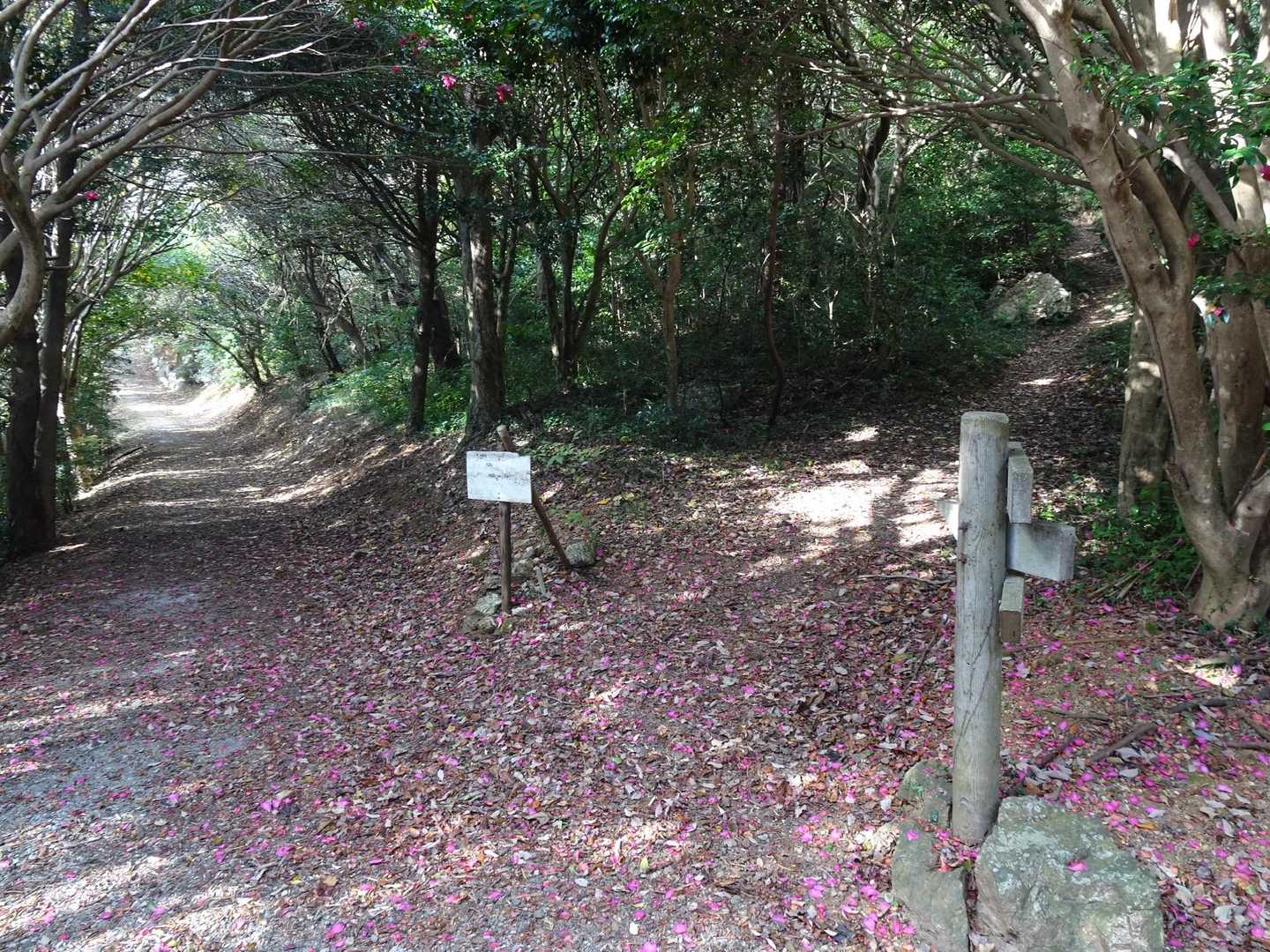 庄十山-藤尾山-中西山-衣笠山 周回コースの写真