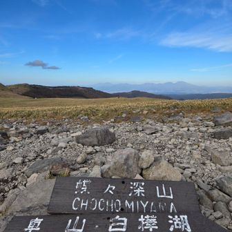 蝶々深山頂上　石がゴロゴロした広～い場所　ちょっと下りただけだけど、暑くなり、山シャツを脱ぐ