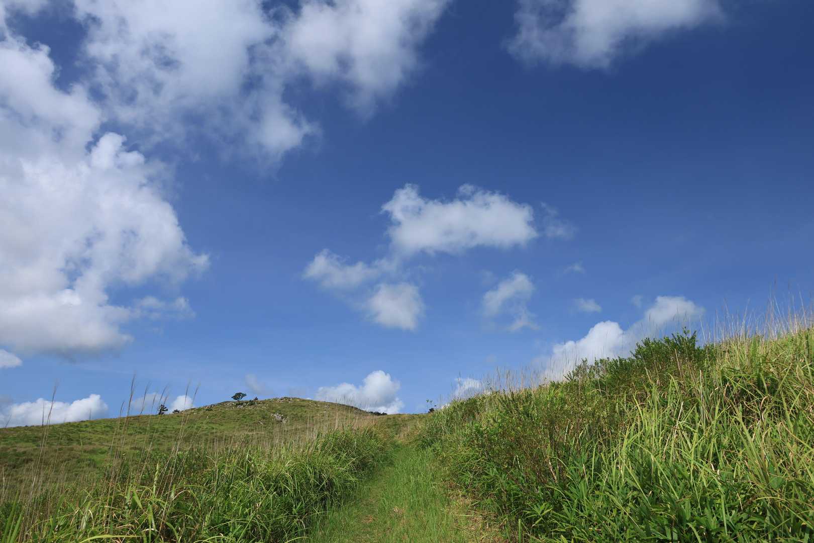 夏だなぁ
前方左の『龍護峰』を目指す