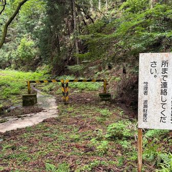 車道の交差点に降りた