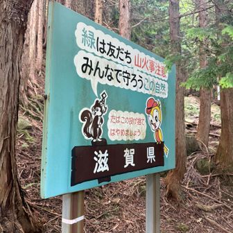 おつかれ山⛰️ トレーニング登山、次はいつ行く？笑