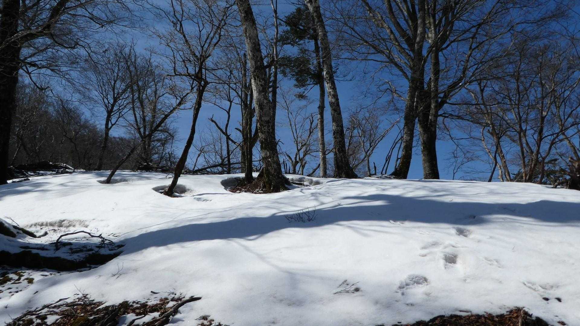 おや？見たこと有る景色、前回撤退した場所ですが、今日は風も無くスカッと晴れててベストコンディションです👍️
