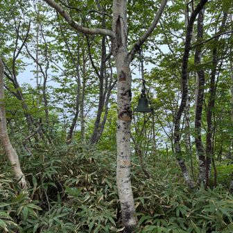 半面山
看板無し