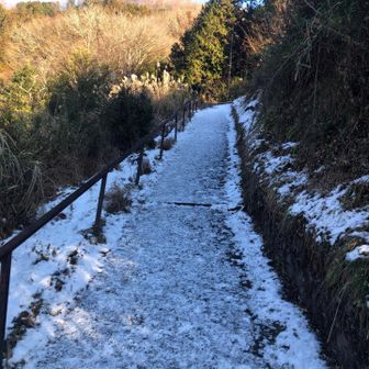 お墓の脇のコンクリート坂、雪と氷で危ない。