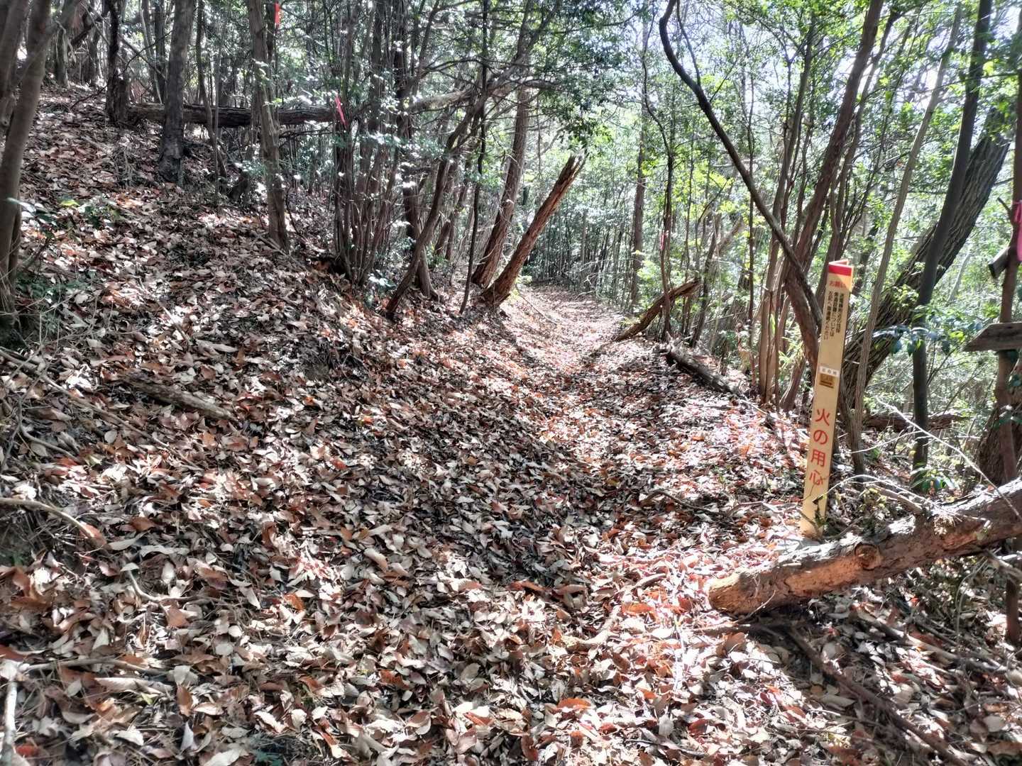 下山時そのまま真っ直ぐ行くと行き止まり🙅
左に登るのが正解です