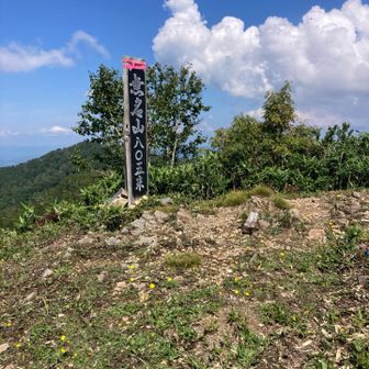 また登って来ました。
