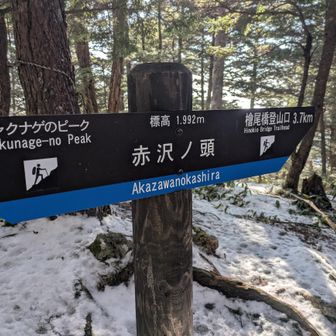 はじめましての赤沢ノ頭🙌