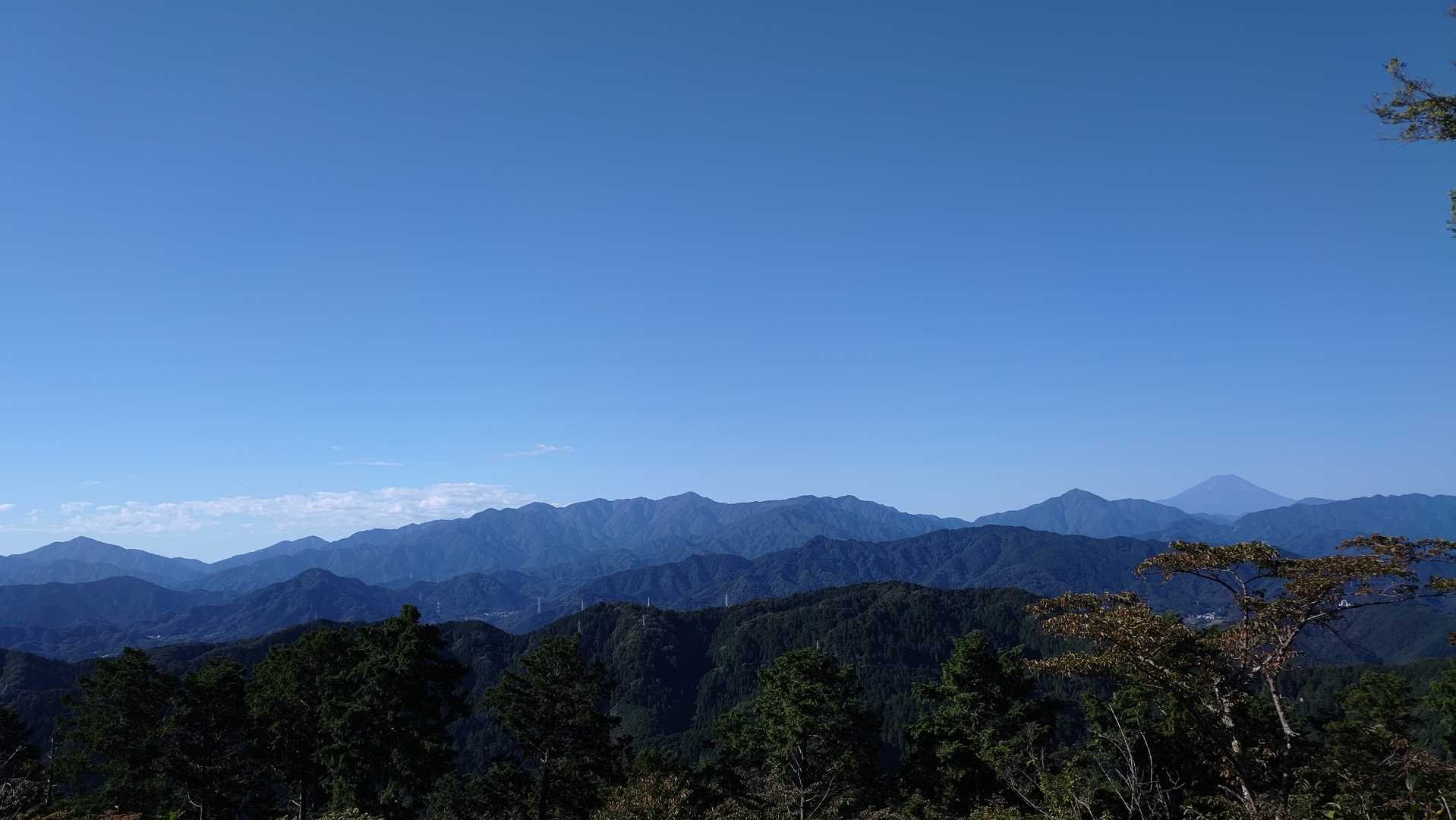 高尾山山頂からもこの眺め😍