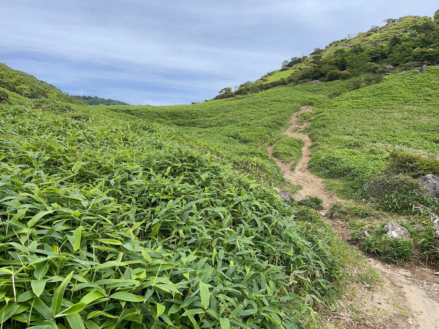 霧降高原レストハウス-丸山 周回コースの写真