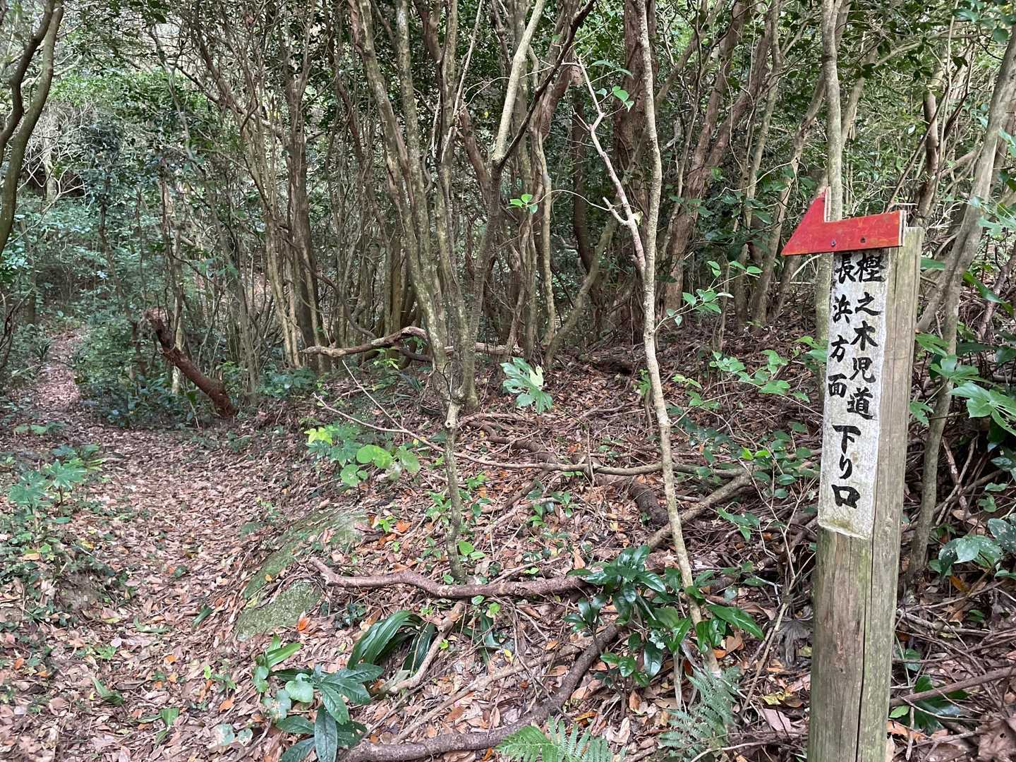 尾岳登山口-尾岳 往復コースの写真