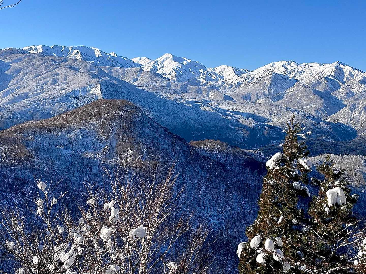 途中展望スポット
雪倉が🤩