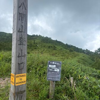 ようやく登山開始⛰️