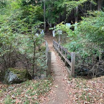登山口の橋でした。